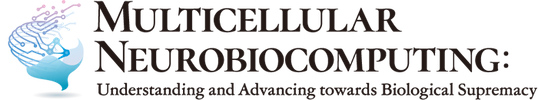 Multicellular Neurobiocomputing: Understanding and Advancing towards Biological Supremacy